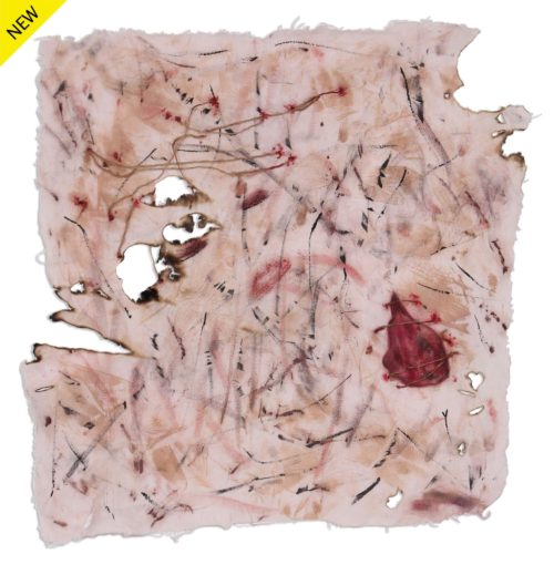 Mixed media of a ragged