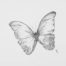 Ink dot drawing of newly born butterfly by Kevin Mejías